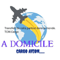 CARGO AVION